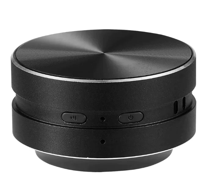 Hummingbird Bone Conduction Speaker